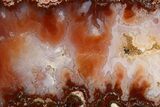 Polished Sicat Plume Agate Slab - Cady Mountains, California #263698-1